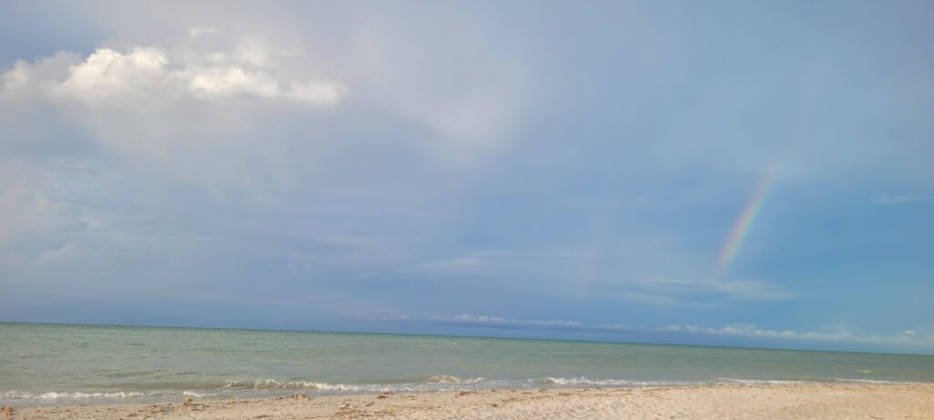 whatsapp image 2026 10 06 at 14.25.50 (2)